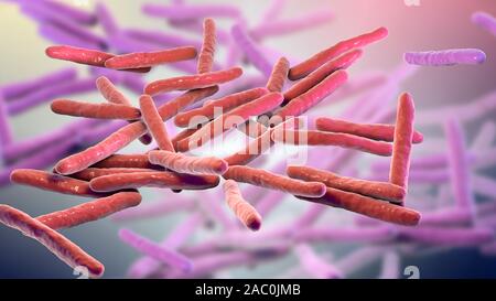 Illustration of Mycobacterium leprae, a gram-positive bacteria which is ...