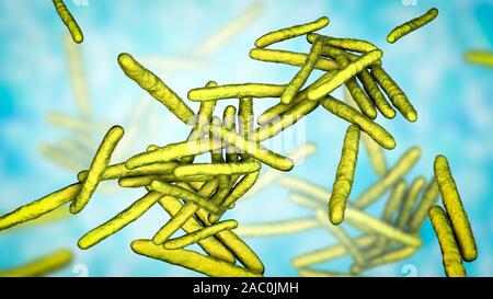 Leprosy bacteria, illustration Stock Photo