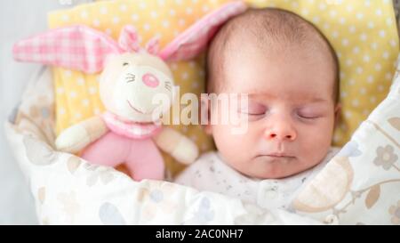 Sleeping newborn baby in swaddle wrap blanket with rabbit toy. Selective focus, shallow deep of field background. Stock Photo