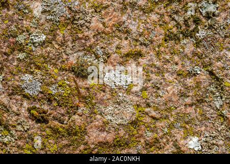 The texture of  rusty metal what is covered with lichen and moss Stock Photo