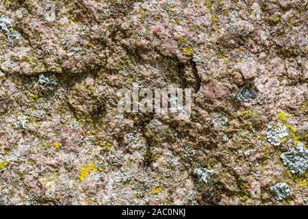 The texture of  rusty metal what is covered with lichen and moss Stock Photo
