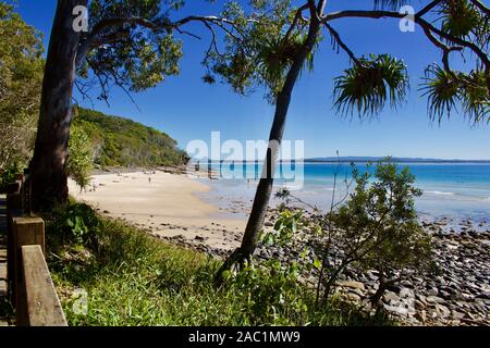 View of Noosa beach Australia and ocean through trees with turquoise blue sea beyond Stock Photo