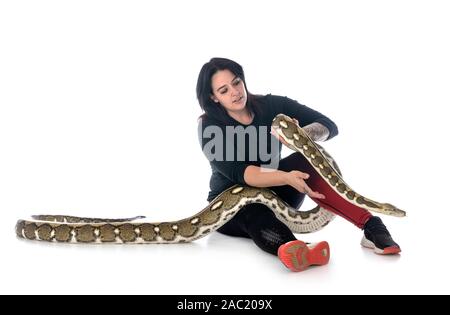 Reticulated python in front of white background Stock Photo