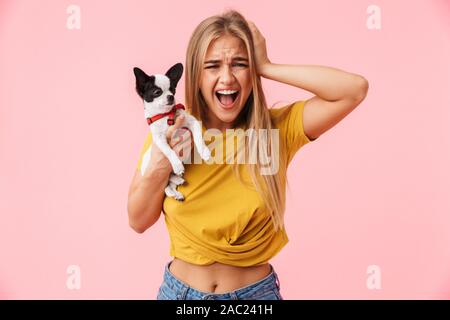 Cute angry lovely girl holding her pet chihuahua isolated over pink background, screaming Stock Photo