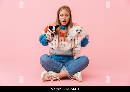 Cute lovely confused girl wearing sweater sitting with legs crossed with her pet chihuahua and lapdog isolated over pink background, choosing dogs Stock Photo