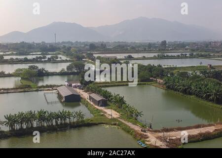 A scene of a rural area of the Greater Bay Area - Guangdong-Hong Kong ...