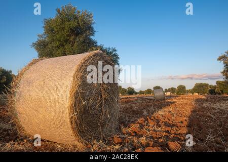 Landscape from Puglia, Italy Stock Photo