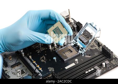Computer technician wearing blue gloves installing CPU into motherboard. Stock Photo