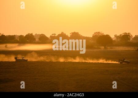 Aerial view of chase vehicle dust trail from air balloon ride, Okavanago Delta, Botswana Stock Photo