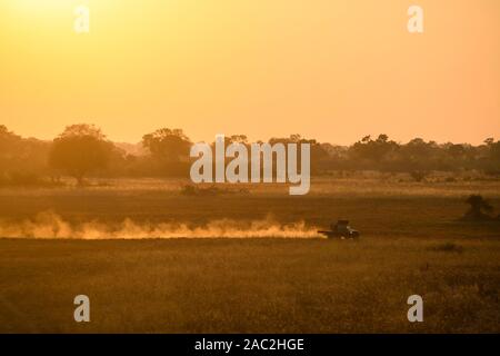 Aerial view of chase vehicle dust trail from air balloon ride, Okavanago Delta, Botswana Stock Photo