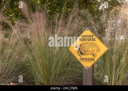 Gopher Tortoise Sign Post Crossing Warning Stock Photo