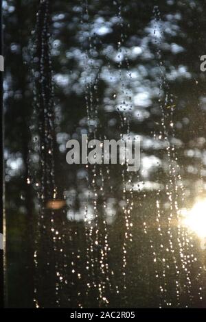Raindrops on window with forest in background Stock Photo
