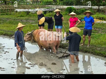 Traditional rice cooker over open fire, sticky rice cooking in a bamboo  basket over simmering water, Living Land Rice Farrm near Luang Prabang,  Laos Stock Photo - Alamy