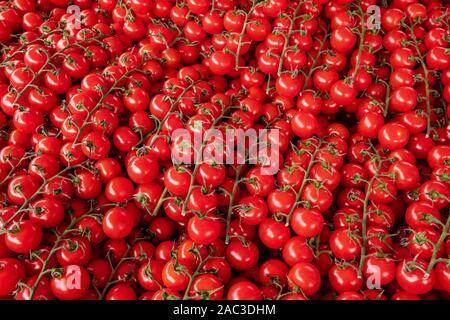 Branches of red cherry tomatoes for sale. Stock Photo