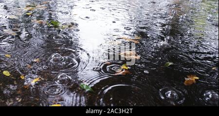 blurred background autumn puddles and raindrops. autumn weather, banner for the site. drops from the sky Stock Photo