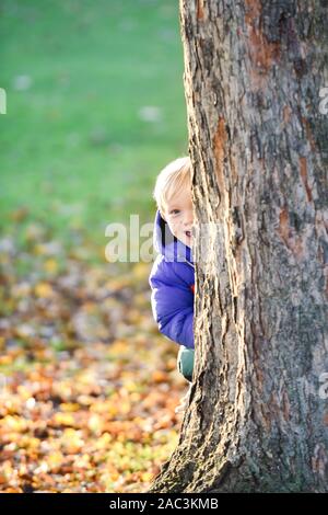 Cute young blond boy hiding and playing hide and seek outdoors in a park in natural daytime sunlight Stock Photo
