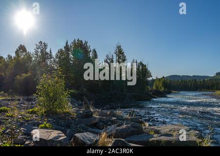 Flowing mountain river with large rock formations, tall pine trees on the shoreline, under a brilliant blue sky. Stock Photo