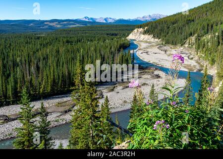 Beautiful mountain vista with a rolling river, tall pine trees, mountains in the distance and a cloudy sky. Stock Photo