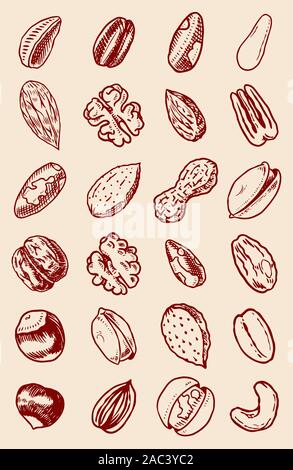 Nuts mix background. Seeds and granule, corn and grain. Hazelnut, Walnut, Almonds. Food concept. Top view. Vintage poster. Engraved hand drawn sketch Stock Vector