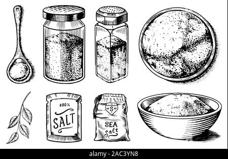 Sea salt set. Glass bottles, packaging and and leaves, wooden spoons, powdered powder, spice in the hand. Vintage background poster. Engraved hand Stock Vector