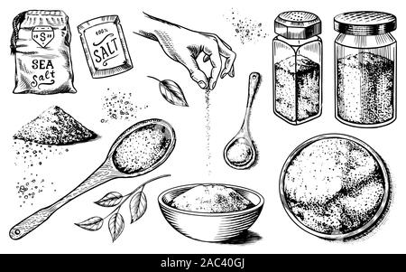 Sea salt set. Glass bottles, packaging and and leaves, wooden spoons, powdered powder, spice in the hand. Vintage background poster. Engraved hand Stock Vector