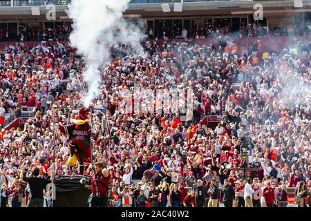 Columbia, SC, USA. 30th Nov, 2019. the NCAA matchup at Williams-Brice Stadium in Columbia, SC. (Scott Kinser/Cal Sport Media). Credit: csm/Alamy Live News Stock Photo