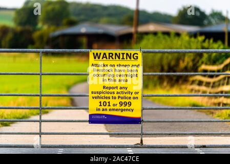 warning attack on sheep and livestock in agriculture area sign. england uk Stock Photo