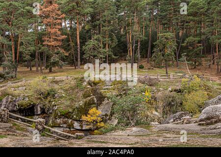 Valsaín pine forest and depression between rocks at the bottom of it is the riverbed of the Eresma river. Province of Segovia Castilla and Leon. Spain Stock Photo