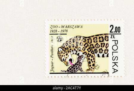 SEATTLE WASHINGTON - October 9, 2019: Polish postage stamp with Jaguar mother caring for  young cub. Scott # 2304 issued in 1978. Stock Photo