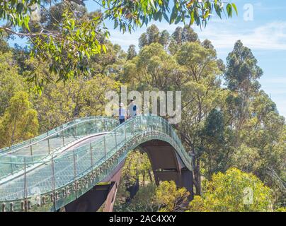 An unidentified couple walking among the eucalypt treetops on the elevated bridge at Kings Park in Perth, Western Australia.