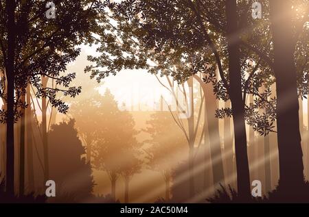 Light from a natural forest Jungle green mountains horizon trees Landscape wallpaper Sunrise and sunset  Illustration vector style Colorful view Stock Vector