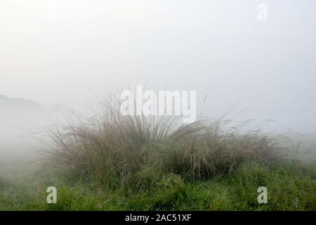 Air Pollution Kolkata Stock Photo