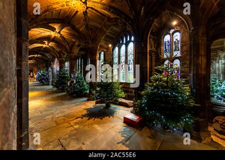 Cloisters and Christmas trees. Chester Cathedral at Christmas, Chester. UK Stock Photo