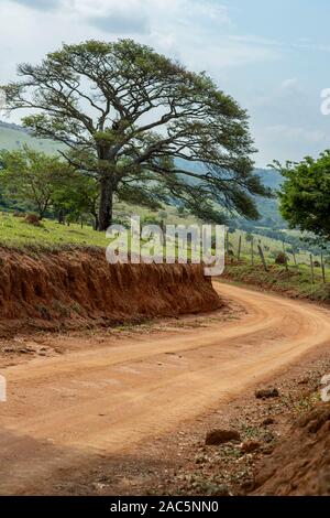 Dirt road. A country path with tree.