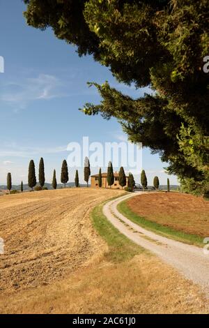 A summer holiday home farmhouse in the Tuscan landscape with cypress trees near Pienza Tuscany Italy Europe Stock Photo