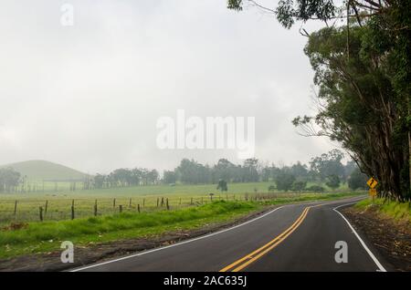 Winding, misty Saddle Road on the Big Island. Stock Photo