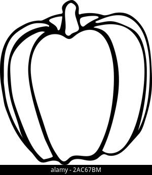Vector hand drawn outline illustration of bell pepper. Black contour doodle in line art style. Sketch of farm and garden vegetable. Isolated contour i Stock Vector