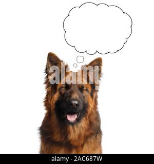 Portrait of Shepherd Dog Dreaming with Closed eyes with Bubble on Isolated White Background Stock Photo