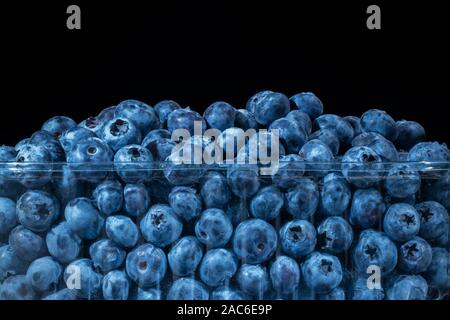 Download Fresh Blueberries In Disposable Plastic Food Pack On Black Background Close Up Of Bog Bilberry Bog Blueberry Northern Bilberry Or Western Blueberry Stock Photo Alamy