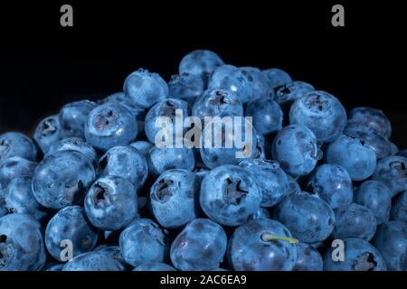 Close up of Bog bilberry, bog blueberry, northern bilberry or western blueberry (Vaccinium uliginosum) on black background. Stock Photo