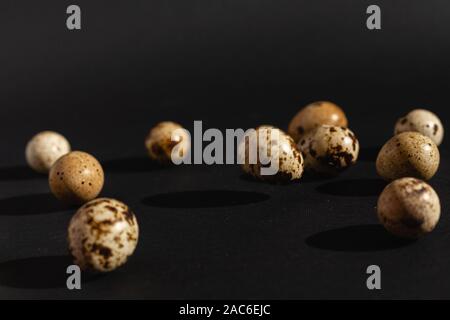 Quail eggs on a black background. Stock photo. Stock Photo