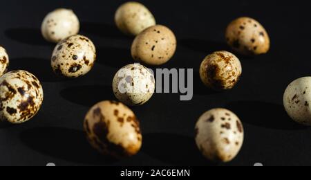 Quail eggs on a black background. Stock photo. Stock Photo