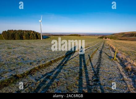 Lammermuir Hills, East Lothian, Scotland, UK. 1st Dec, 2019. UK Weather: after a very cold night the rural agricultural farming landscape is covered in frost with the temperature around freezing on a beautiful sunny Winter day with long shadows of people cast by the sunshine on a frozen frosty path next to a wind turbine Stock Photo