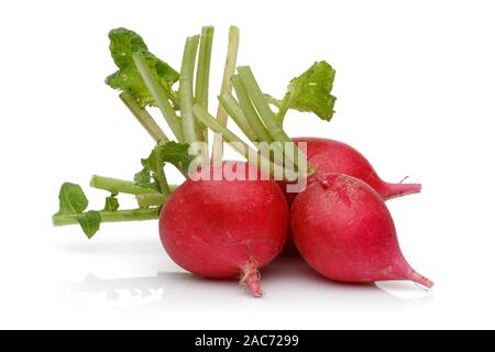Whole red radish isolated on white background Stock Photo