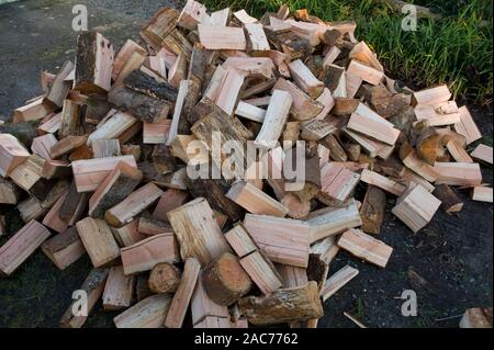 A pile of logs. Stock Photo