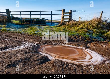 Frozen muddy puddle on farm track with Winter sunshine and gate to field, East Lothian, Scotland, UK Stock Photo