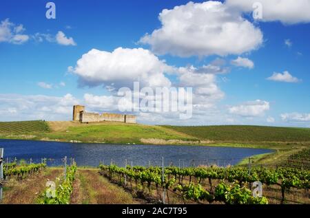 vineyard and Valongo castle, alentejo region, Portugal Stock Photo