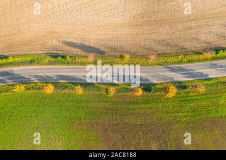 Road between green field and cultivated ground with yellow trees at sunset in autumn. Aerial view on empty asphalt speedway or trees alley. Stock Photo