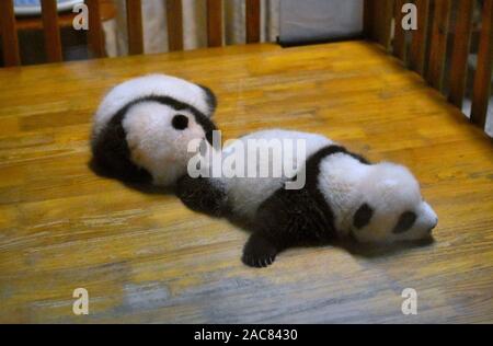 Cute Panda Bear Newborn Babies Resting In Crib Stock Photo Alamy Cute Panda Bear Newborn Babies Resting In Crib Stock Photo Alamy