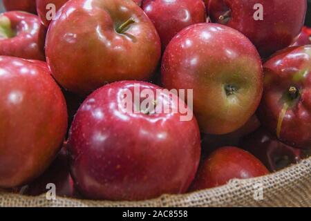 Basket of apples close up - many red apples juicy fruit aka. red Malus - healthy lifestyle food with vitamins - polyphenols & phytochemicals Stock Photo